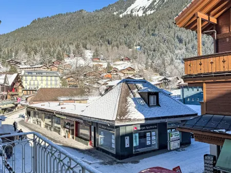 Haus Gertsch Apt.G Отели рядом с достопримечательностью «Molitor»