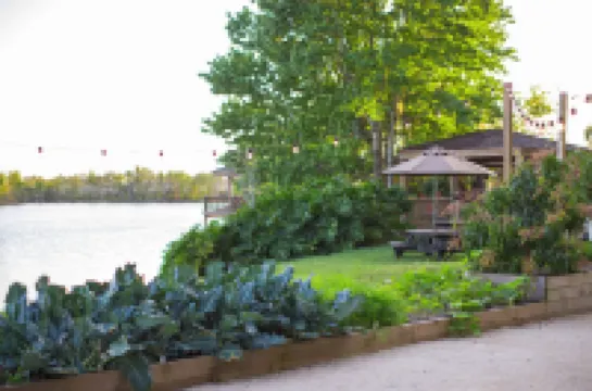 マリオット オーランド エアポート マリオット レイクサイド のホテル