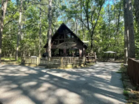 “The Honeymooner” A quaint lil cabin in the woods at Tannenbaum!