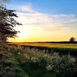 Time out from everyday life in Nordfriesland Aventoft 호텔