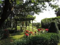 Isolated on hill, flat with terrace among romanesque art,quiet,nature.