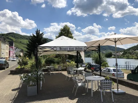 Holiday on the Moselle in the Weinberg holiday apartment in Zell (Moselle)