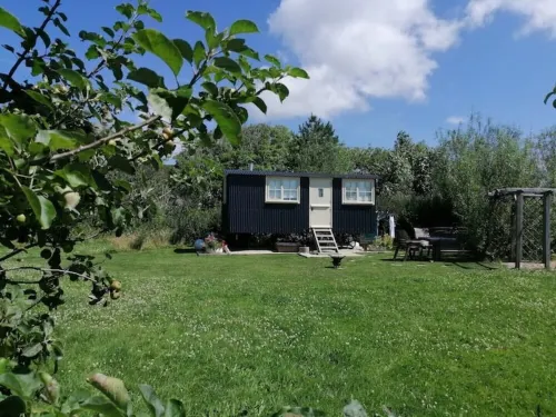 Romantic Apple Tree Shepherd's Hut with optional hot tub and shared EV charger.