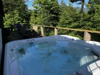 Whiteface Resort on West Branch Ausable River. See Whiteface Mtn from our deck