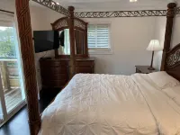 Beach Paradise