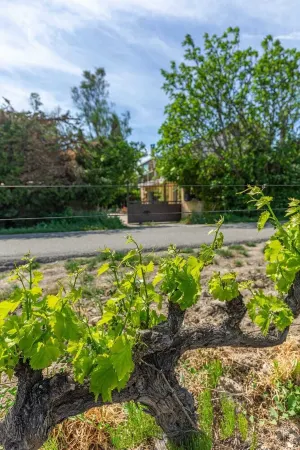 Dans UN Coin DE Verdure Avec Bassin DE Baignade