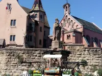 Vineyard flower Eguisheim quiet, 3 min walk from the center Hotels in Eguisheim