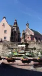 Vineyard flower Eguisheim quiet, 3 min walk from the center