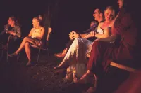 Sarasota, Fl.  Wild  Orchid  Creek