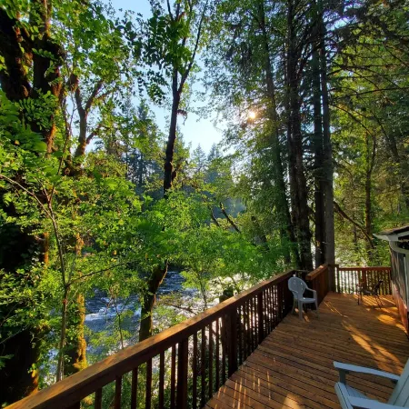 RiverPeace on the McKenzie