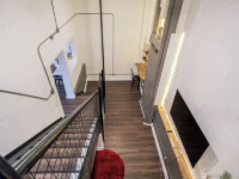 Nest - The Urban Treehouse