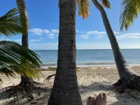 Beach Condo in Paradise Hotels in Key Colony Beach