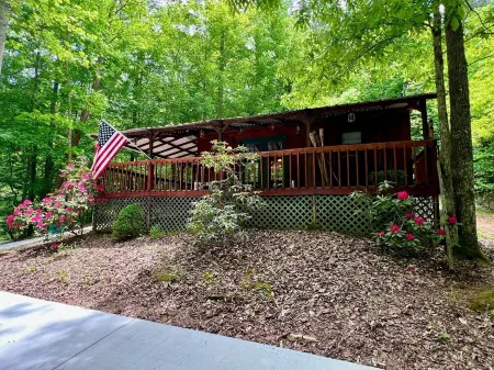 Cozy cabin getaway close to hiking, skiing, sightseeing, and Bristol!