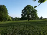 Small stone house of the most unusual in the country