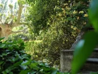Mas Dagan, vacation apartments in Saint Remy to dream away on a romantic estate Hotels in Noves