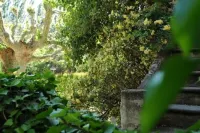 Mas Dagan, vacation apartments in Saint Remy to dream away on a romantic estate