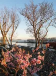 Exclusive vacation apartment with harbor view - style, comfort and soul