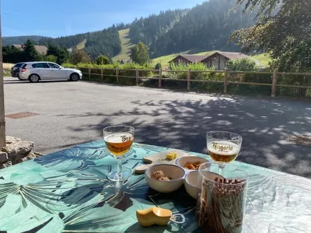 Ideal winter and summer, at the foot of the Gérardmer slopes with terrace, 2km from the lake