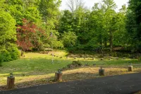 Farmhouse 1903 Renovated w Pond and Stream on Kittatiny Park