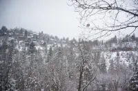 Gorgeous Mountain Escape, up to 12!