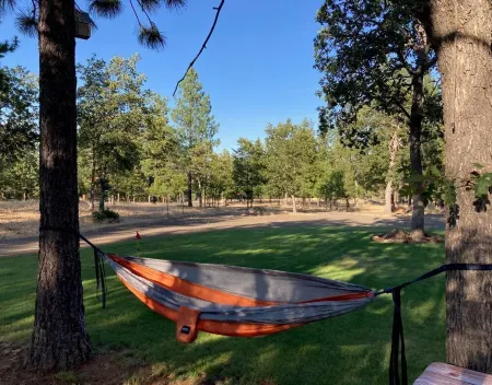 Abundant Activities for Adventures People