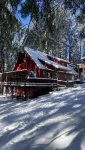 Black Bear Den ~ Access to Private Lake! Heat and AC
