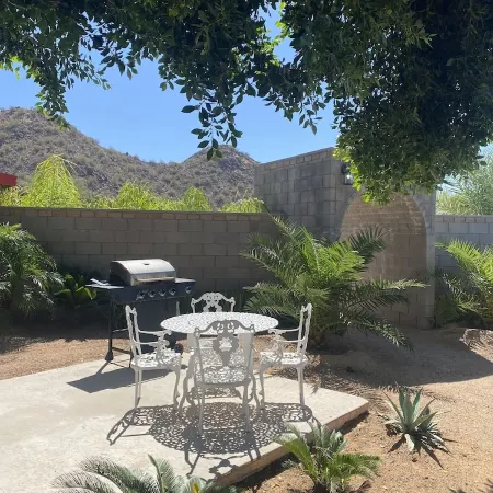 Private 2.5-Acre Retreat with Lush Palms, Pool, Play Train & Tortoises