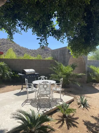 Private 2.5-Acre Retreat with Lush Palms, Pool, Play Train & Tortoises