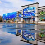 Private House w/ HEATED Pool and 4 Passes to the Daytona Aquarium & Rainforest!