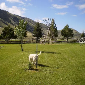 Trapper Cabin, Greyhouse Inn Vacation Rentals