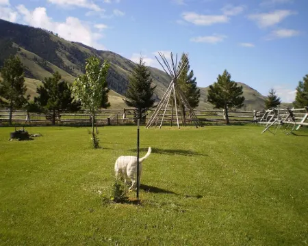 Trapper Cabin, Greyhouse Inn Vacation Rentals Hotels in Lemhi County