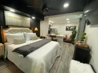 Soak up the charm of this cozy, recently  remodel studio.