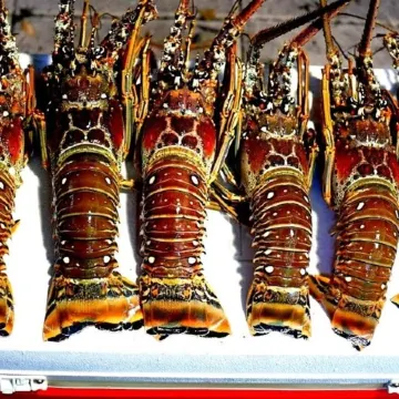 5% Off Any Booking Through Jan 31, 2026! Canal Front/Private Pool/Hot Tub/Dock!