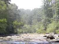 White Water River Cabin near Helen, GA-Kayak, tube, fish, hike, in wine country