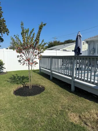 Welcome to Adria Bayside Cottage Отели рядом с достопримечательностью «Cape May Lighthouse»