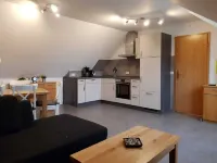 Vacation Sun Summer Winter