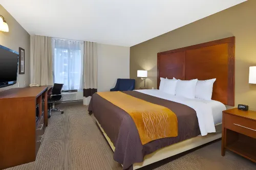 Comfort Inn & Suites Hotels in Taylor