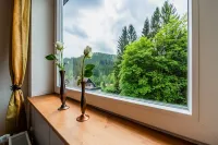 Ferienwohnungen Und Ferienhaus Hafermarkt - Pet friendly