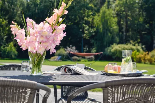 Eco Nieborów - Homestays