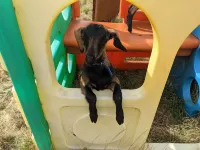 Maple Park Hotels in Kilmore