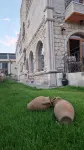 Elite Rose Cappadocia Hotels in Uchisar