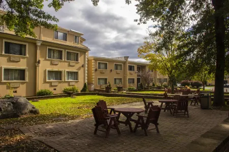 Villa Roma Resort and Conference Center Отели в г. Кошектон