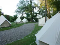 Black Boys Hotel Hotels in Broadland