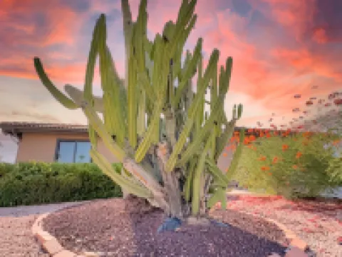 Truro Sun Lakes Hotels in Sun Lakes