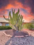 Truro Sun Lakes