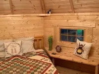 Starry Meadow & Rescued Animal Experiences