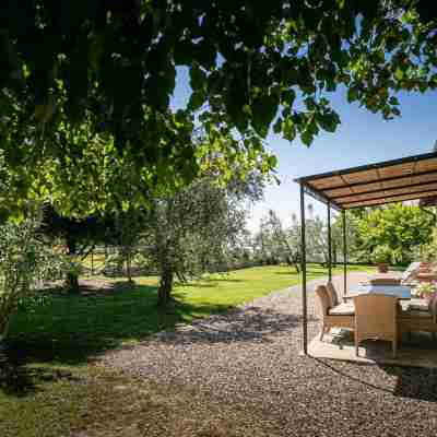 Oliveta a Retreat Surrounded by Olive Trees Hotel Exterior