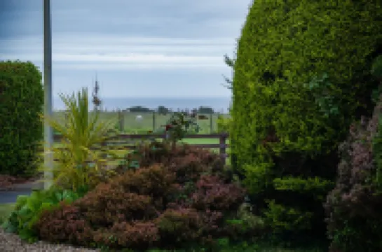 Shorelands - 1 Bedroom Apartment - Manorbier