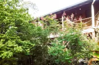 Sanpopo Tree Top Cottage - A Gold Standard Tourism Approved Vacation Home Hotels in Bullet Tree Falls