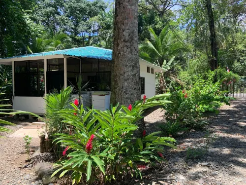 Beachfront Apartment Punta Uva